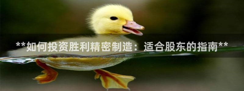 彩神V购彩大厅：**如何投资胜利精密制造：适合股东的指南**