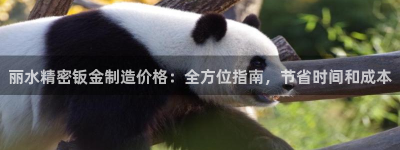 彩神v平台：丽水精密钣金制造价格：全方位指南，节省时间和成本