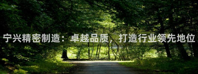 彩神网可以赚钱是真的吗：宁兴精密制造：卓越品质，打造行业领先地位
