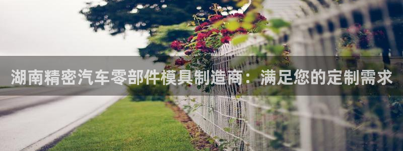 彩神官方网站登录是多少：湖南精密汽车零部件模具制造商：满足您的定制需求