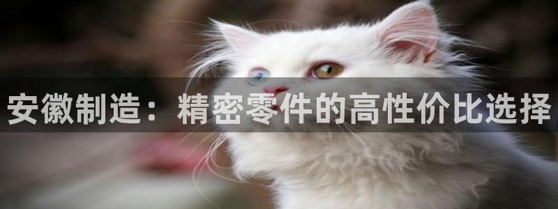 所有彩神购买首页：安徽制造：精密零件的高性价比选择