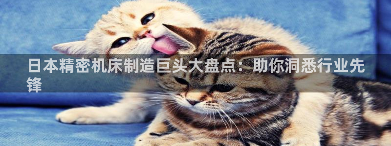 彩神v8是真的挣钱吗安全吗：日本精密机床制造巨头大盘点：助你洞悉行业先
锋