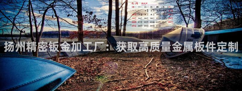 彩神iv真的能赚钱吗：扬州精密钣金加工厂：获取高质量金属板件定制