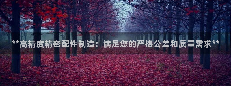 彩神vll首页环球：**高精度精密配件制造：满足您的严格公差和质量需求**