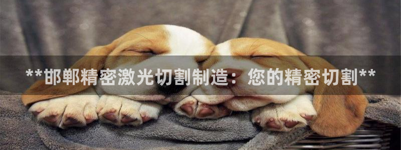 彩神购彩-购彩大厅入口：**邯郸精密激光切割制造：您的精密切割**