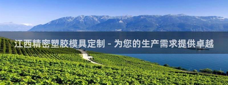 彩神vll首页企业文化：江西精密塑胶模具定制 - 为您的生产需求提供卓越