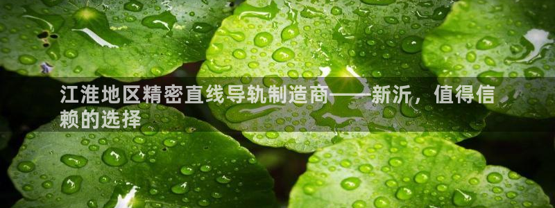彩神v8是一个什么平台啊：江淮地区精密直线导轨制造商——新沂，值得信
赖的选择