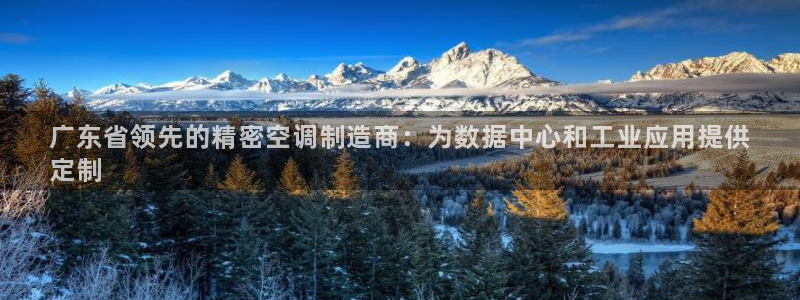 彩神xapp官方网站：广东省领先的精密空调制造商：为数据中心和工业应用提供
定制