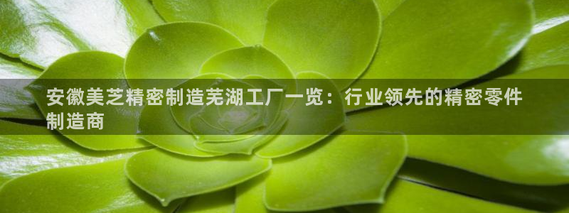 彩神官方邀请码是多少：安徽美芝精密制造芜湖工厂一览：行业领先的精密零件
制造商