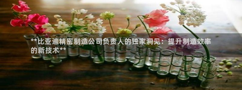 彩神v大众娱乐：**比亚迪精密制造公司负责人的独家洞见：提升制造效率
的新技术**
