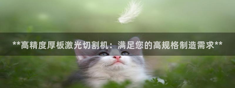 彩神平台能提现吗：**高精度厚板激光切割机：满足您的高规格制造需求**