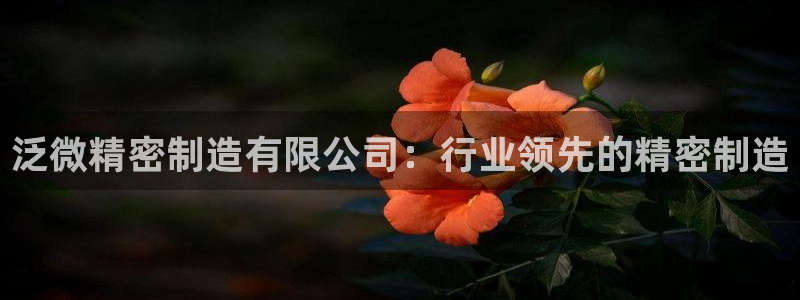 彩神vip购彩：泛微精密制造有限公司：行业领先的精密制造