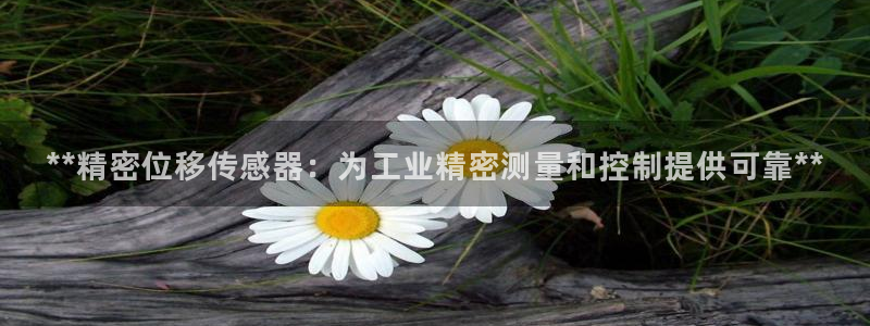 彩神v8官网版：**精密位移传感器：为工业精密测量和控制提供可靠**