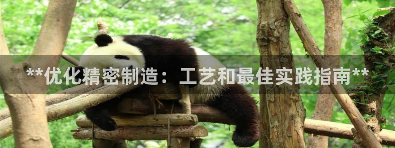 彩神v大众娱乐：**优化精密制造：工艺和最佳实践指南**