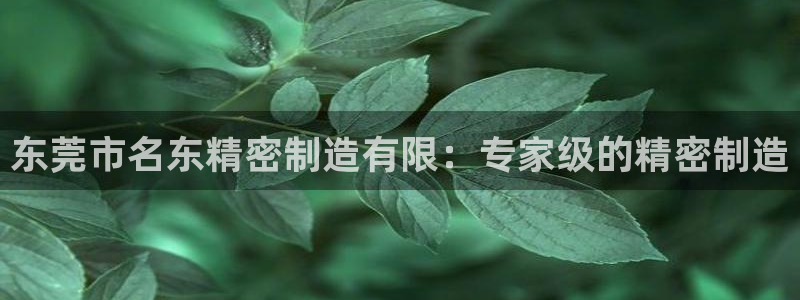 彩神iv争霸购彩大厅：东莞市名东精密制造有限：专家级的精密制造