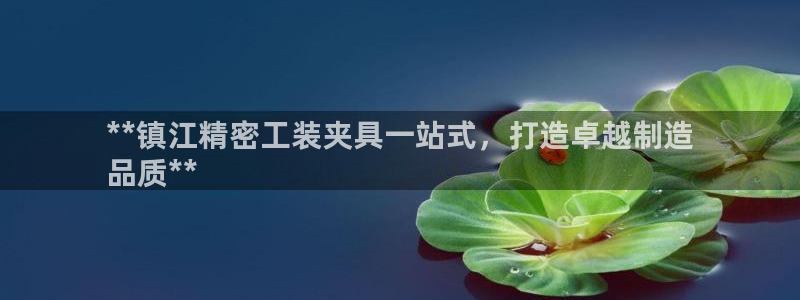 彩神V集团公司：**镇江精密工装夹具一站式，打造卓越制造
品质**