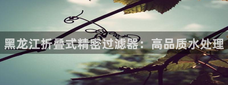 彩神v8首页：黑龙江折叠式精密过滤器：高品质水处理