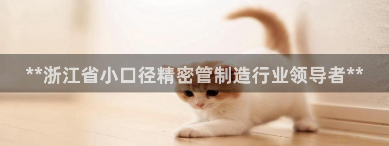 彩神网能赚钱是怎么回事：**浙江省小口径精密管制造行业领导者**