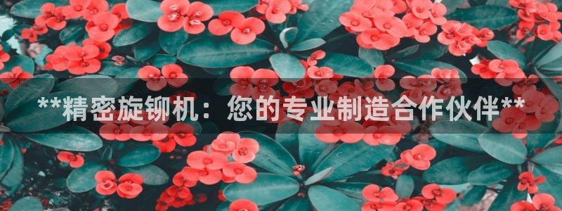 彩神v8几个版本：**精密旋铆机：您的专业制造合作伙伴**