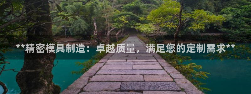 彩神v网赌软件下载：**精密模具制造：卓越质量，满足您的定制需求**
