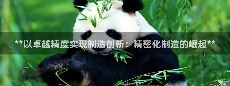 彩神旗下有哪些平台可以玩：**以卓越精度实现制造创新：精密化制造的崛起**