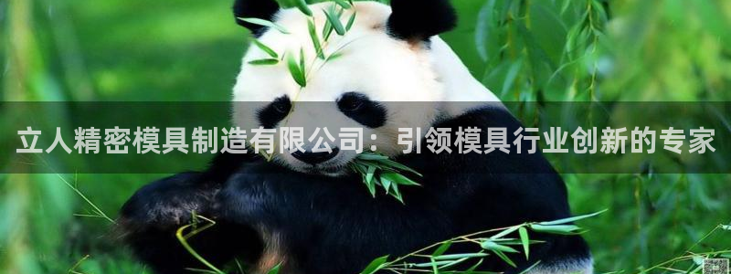 新版彩神v8登录：立人精密模具制造有限公司：引领模具行业创新的专家