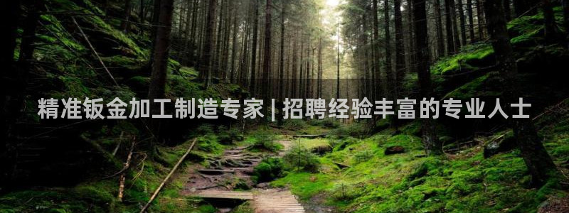 彩神通关注码金码对应码：精准钣金加工制造专家 | 招聘经验丰富的专业人士