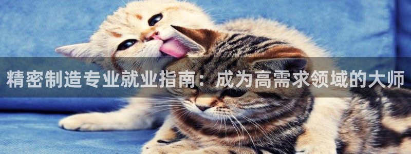 彩神旗下有哪些平台可以玩：精密制造专业就业指南：成为高需求领域的大师