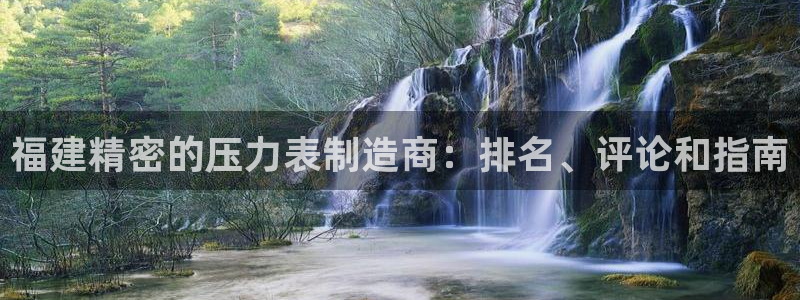 彩神平台是什么套路：福建精密的压力表制造商：排名、评论和指南