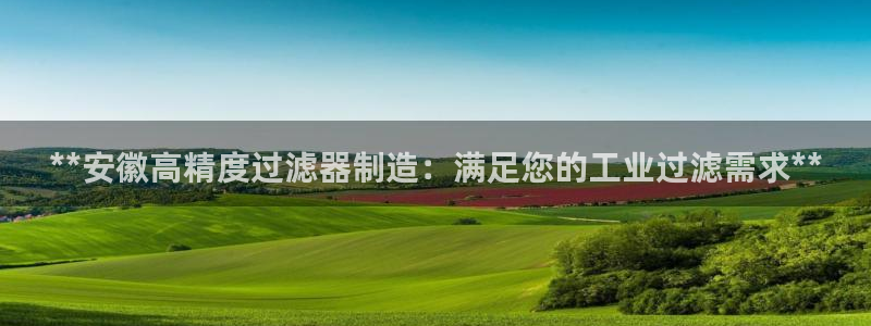 所有彩神购买首页中心：**安徽高精度过滤器制造：满足您的工业过滤需求**