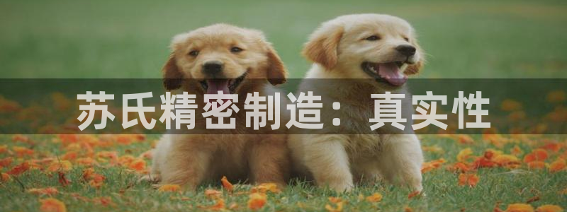 彩神v下载安装：苏氏精密制造：真实性