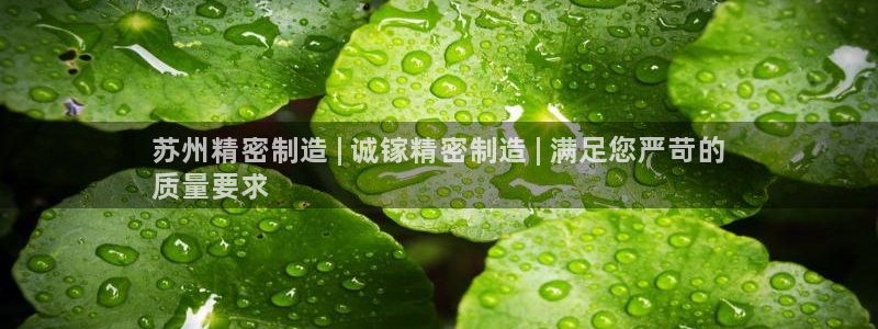 彩神8官网下：苏州精密制造 | 诚镓精密制造 | 满足您严苛的
质量要求