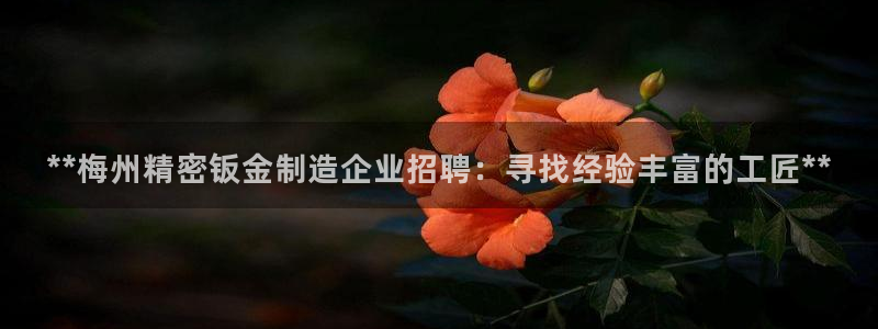 彩神v8下载网址：**梅州精密钣金制造企业招聘：寻找经验丰富的工匠**