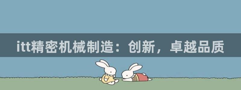 在彩神网输了六万多怎么拿回来：itt精密机械制造：创新，卓越品质
