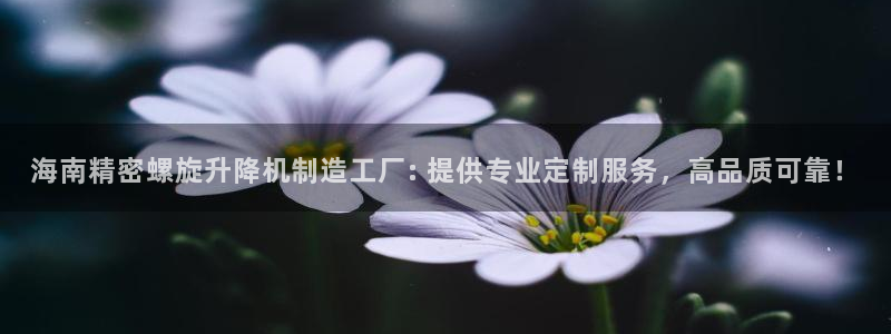 彩神平台：海南精密螺旋升降机制造工厂: 提供专业定制服务，高品质可靠！