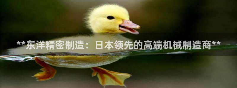 彩神8是正规平台吗是正品吗：**东洋精密制造：日本领先的高端机械制造商**