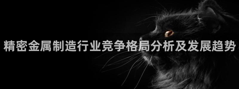 大发彩神官网下载：精密金属制造行业竞争格局分析及发展趋势