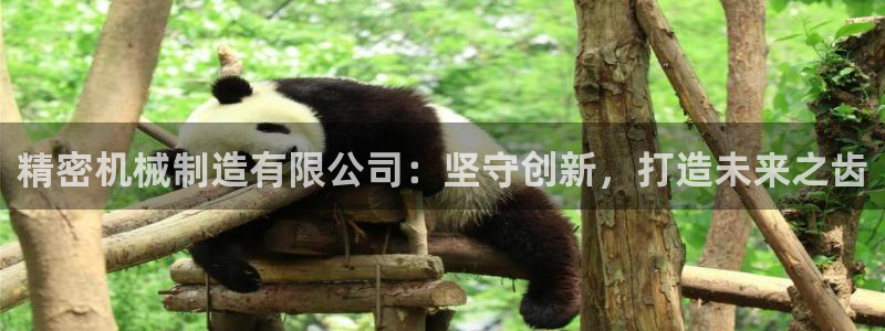 彩神v大众娱乐：精密机械制造有限公司：坚守创新，打造未来之齿