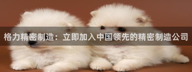 彩神Vii购彩-购彩大厅：格力精密制造：立即加入中国领先的精密制造公司