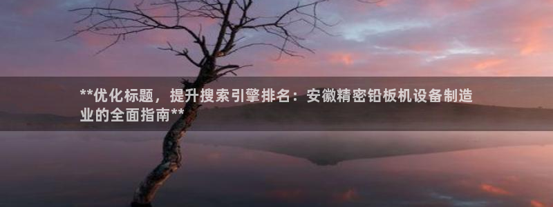 彩神VII购彩中心：**优化标题，提升搜索引擎排名：安徽精密铅板机设备制造
业的全面指南**