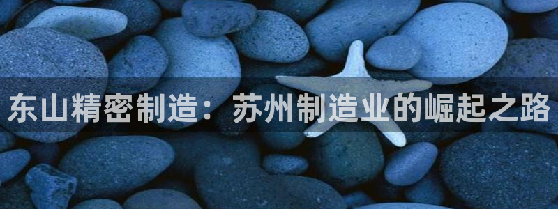 新版彩神v8登录不了：东山精密制造：苏州制造业的崛起之路