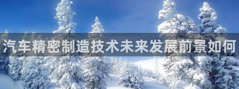 彩神V8有限公司：汽车精密制造技术未来发展前景如何