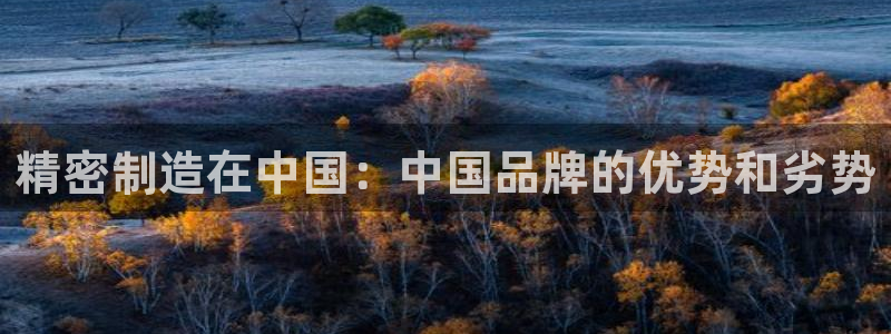 彩神平台是什么套路：精密制造在中国：中国品牌的优势和劣势