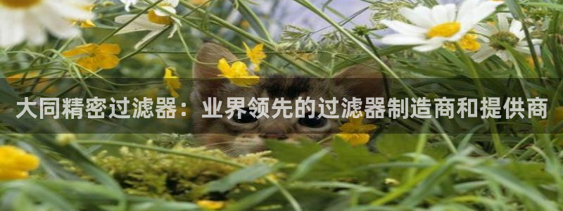 彩神v1官网：大同精密过滤器：业界领先的过滤器制造商和提供商