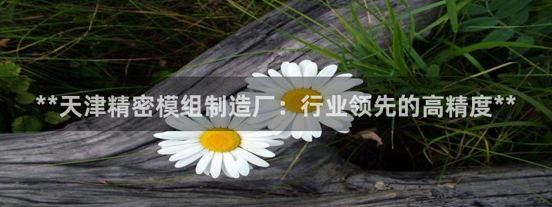 彩神vll首页企业文化：**天津精密模组制造厂：行业领先的高精度**