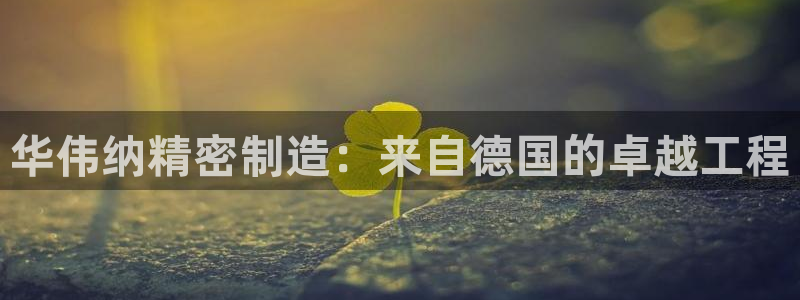 彩神vllⅰ购彩大厅：华伟纳精密制造：来自德国的卓越工程