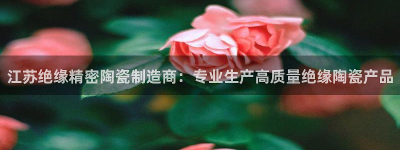 彩神8是正规平台吗是正品吗：江苏绝缘精密陶瓷制造商：专业生产高质量绝缘陶瓷产品