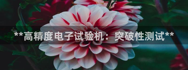 彩神vii购彩l心：**高精度电子试验机：突破性测试**