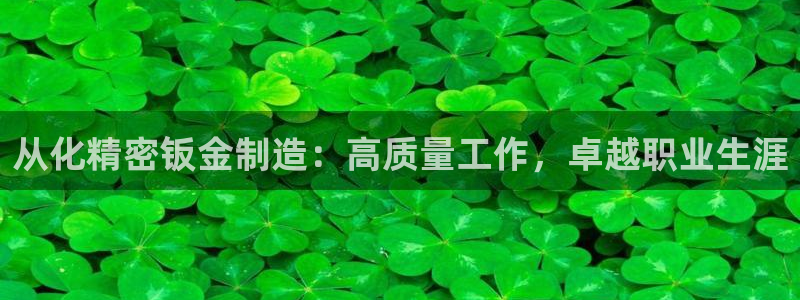 彩神ios下载：从化精密钣金制造：高质量工作，卓越职业生涯