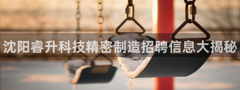 彩神ix官网是哪个公司的：沈阳睿升科技精密制造招聘信息大揭秘